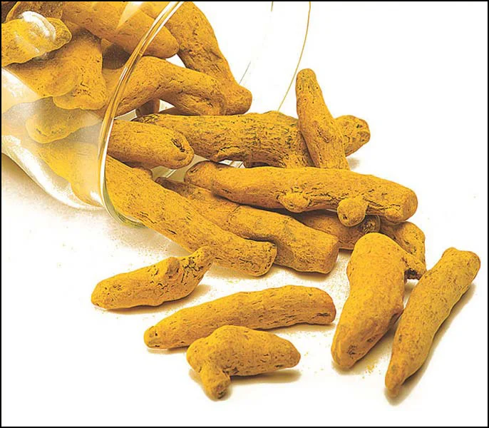Turmeric Duggirala